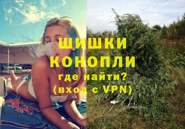 стаф Баксан