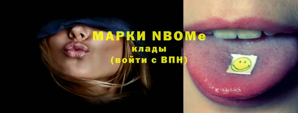 стаф Баксан