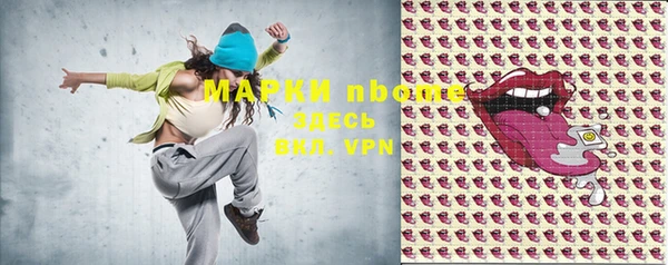 стаф Баксан