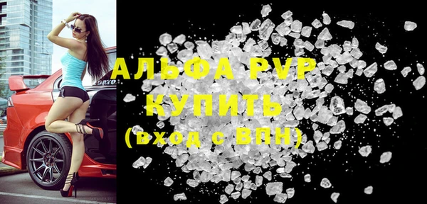 стаф Баксан