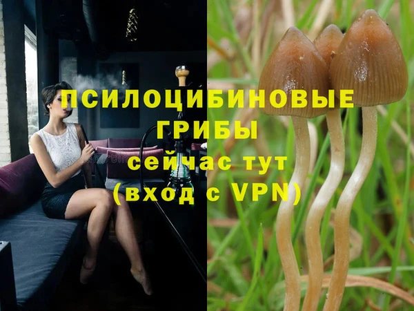 гашик Балабаново