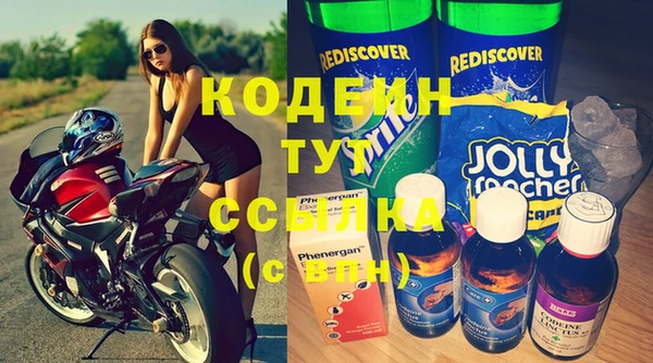 прущие грибы Семилуки