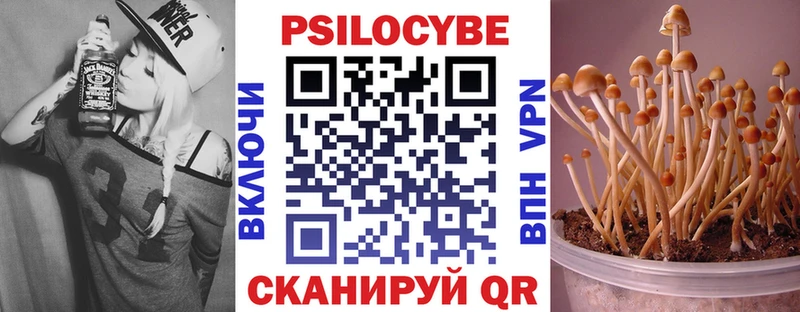 купить наркотик  MEGA маркетплейс  площадка состав  Гусев  Галлюциногенные грибы Psilocybe 